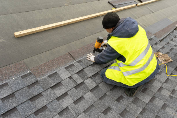 Best Best Roofing Contractors  in Trenton, MI