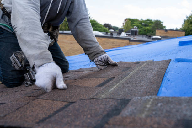 Residential Roof Replacement in Trenton, MI
