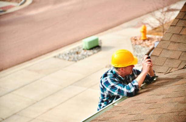 Best Emergency Roof Repair  in Trenton, MI