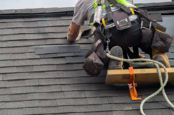 Best Roof Restoration Services  in Trenton, MI