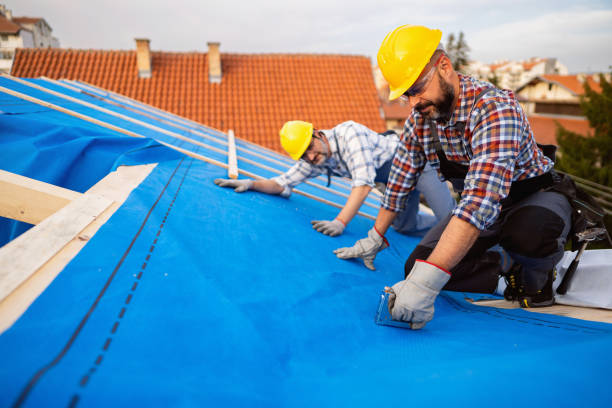Best Local Roofing Companies  in Trenton, MI