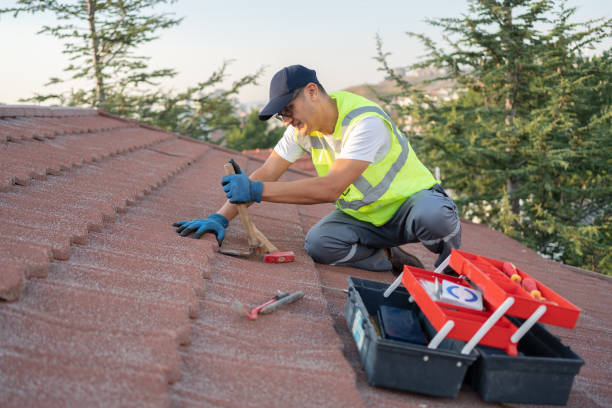 Best Commercial Roofing Services  in Trenton, MI