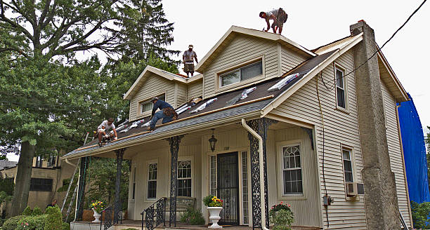 Best Roof Restoration Services  in Trenton, MI