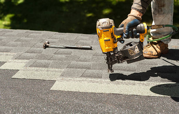 Best Best Roofing Contractors  in Trenton, MI