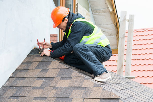 Best Affordable Roofing Company  in Trenton, MI
