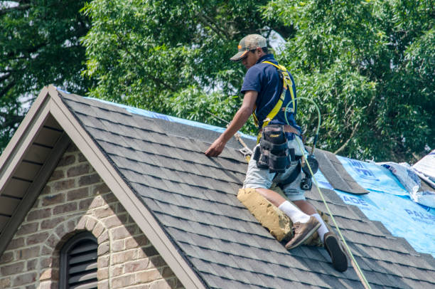 Best Metal Roofing Contractor  in Trenton, MI